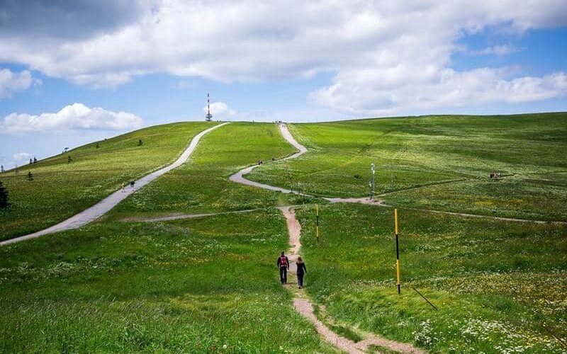 Feldberg